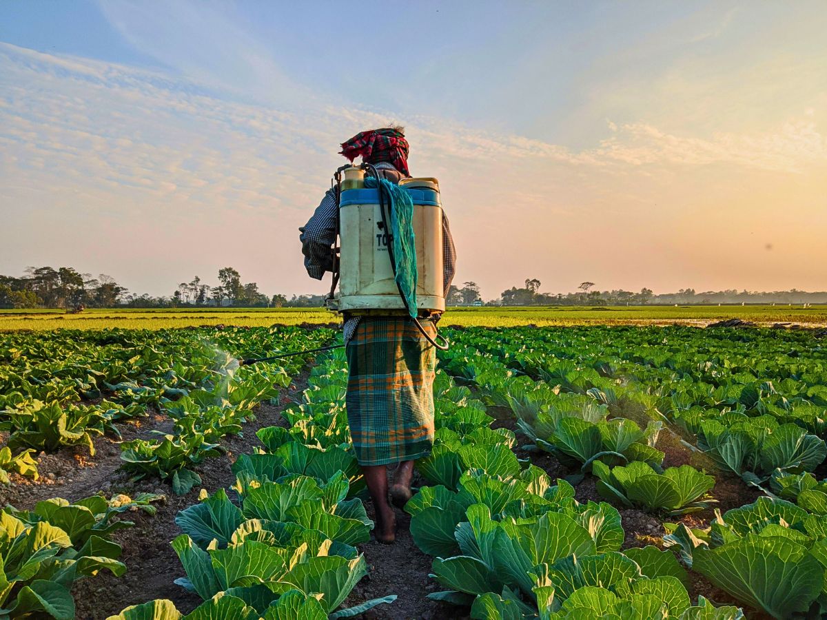 Vegetables Neonicotinoids, often called ‘neonics,’ are one of the most widely used yet least understood groups of insecticides