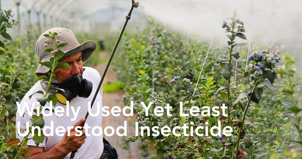 Neonicotinoids, often called ‘neonics,’ are one of the most widely used yet least understood groups of insecticides