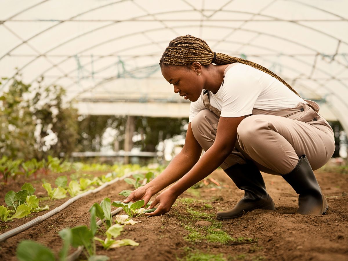 Plants cultivation Neonicotinoids, often called ‘neonics,’ are one of the most widely used yet least understood groups of insecticides