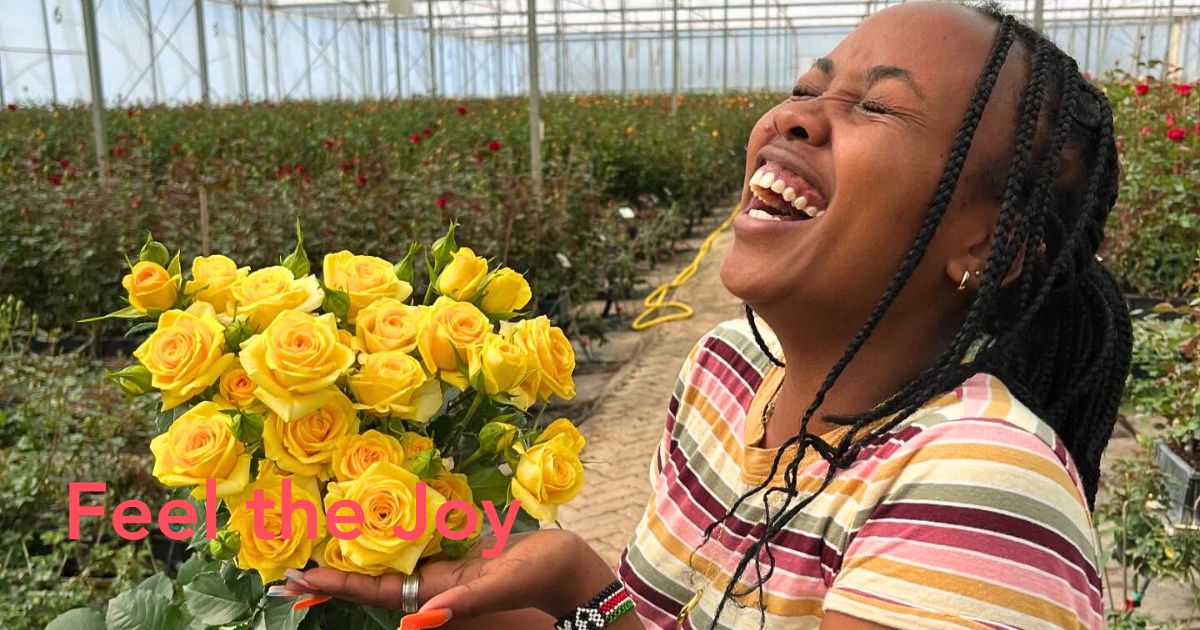 Yellow Roses
