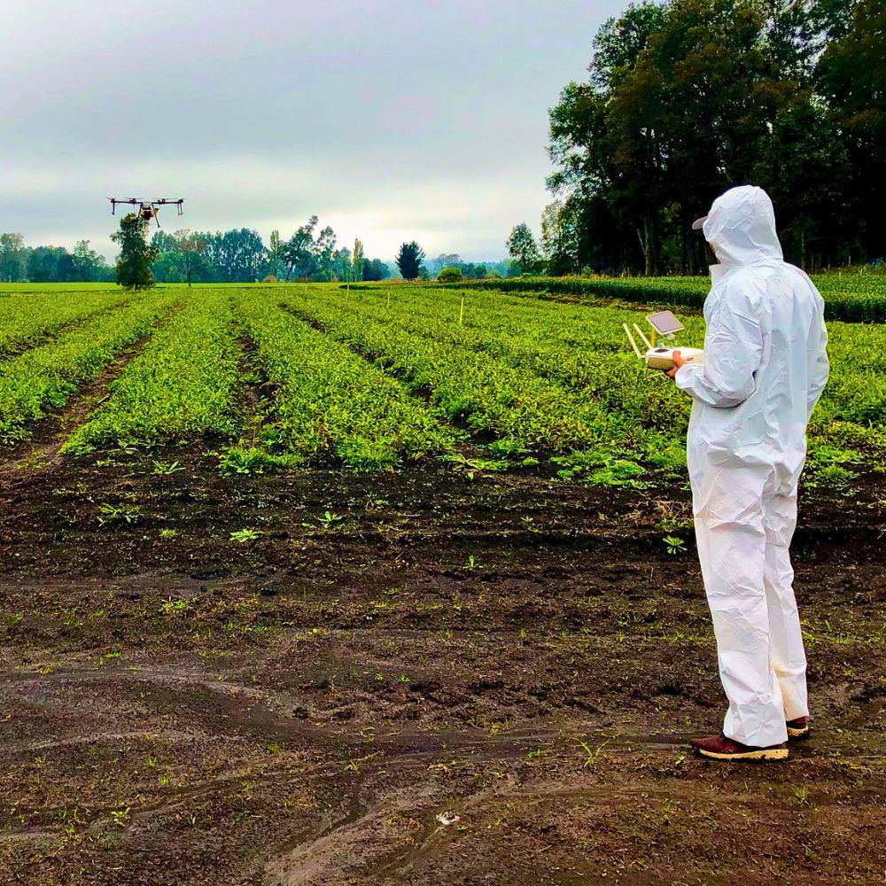 Field plant cultivation Neonics Are a Feat in Agricultural Pest Control, but Do They Have Hidden Costs?