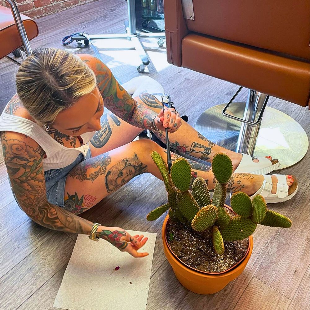 Cacti That Will Look Great in Your Plant Collection