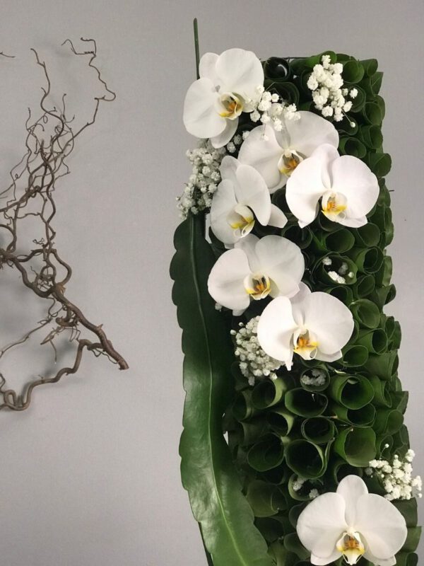 Jenny Thomasson - Blogger on Thursd - Design with phalaenopsis