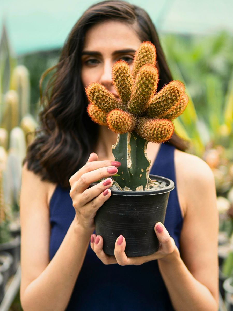 10 Cacti That Will Look Great in Your Plant Collection