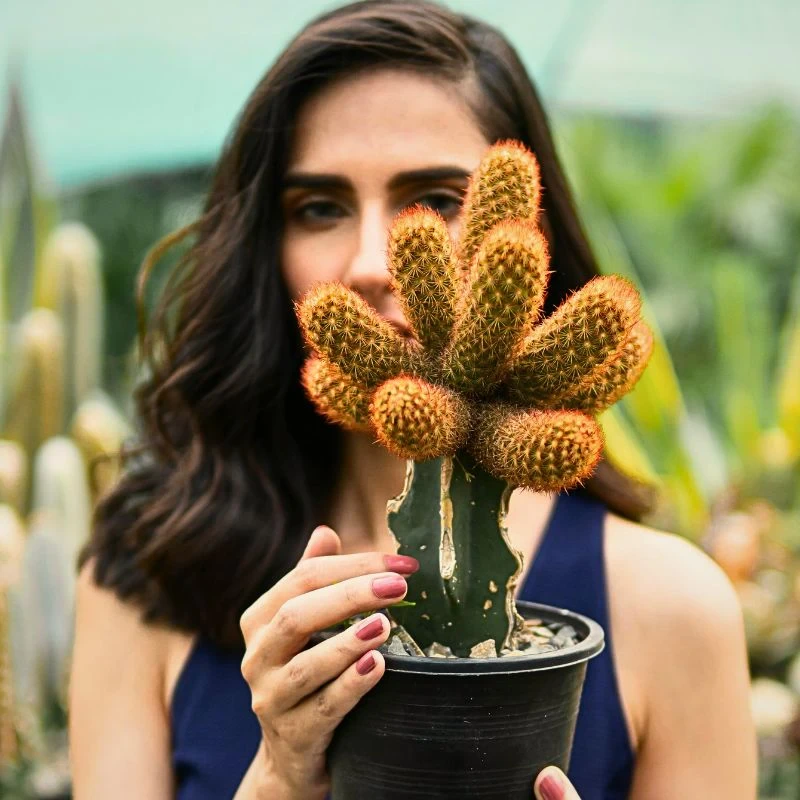 10 Cacti That Will Look Great in Your Plant Collection