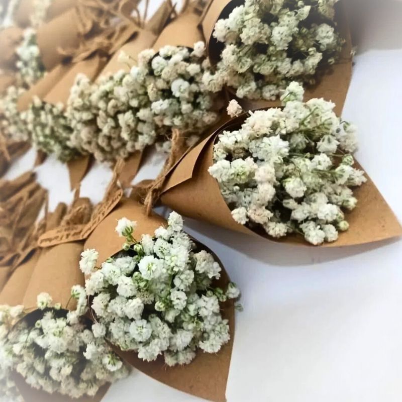 Gypsophila by Ikra Gifts