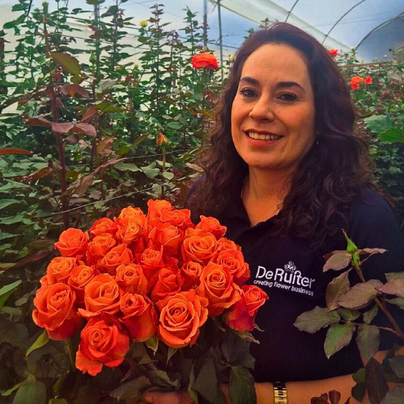 Laura Fajardo at the Greenhouse De Ruiter Colombia With Rose Orangiata Laura Fajardo at the Greenhouse De Ruiter Colombia With Rose Orangiata