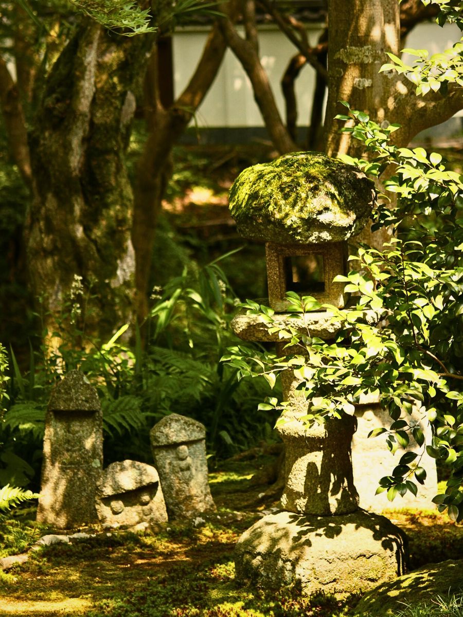 Serenity in a garden Embracing Imperfection in the Art of Wabi-Sabi Through Plants and Flowers