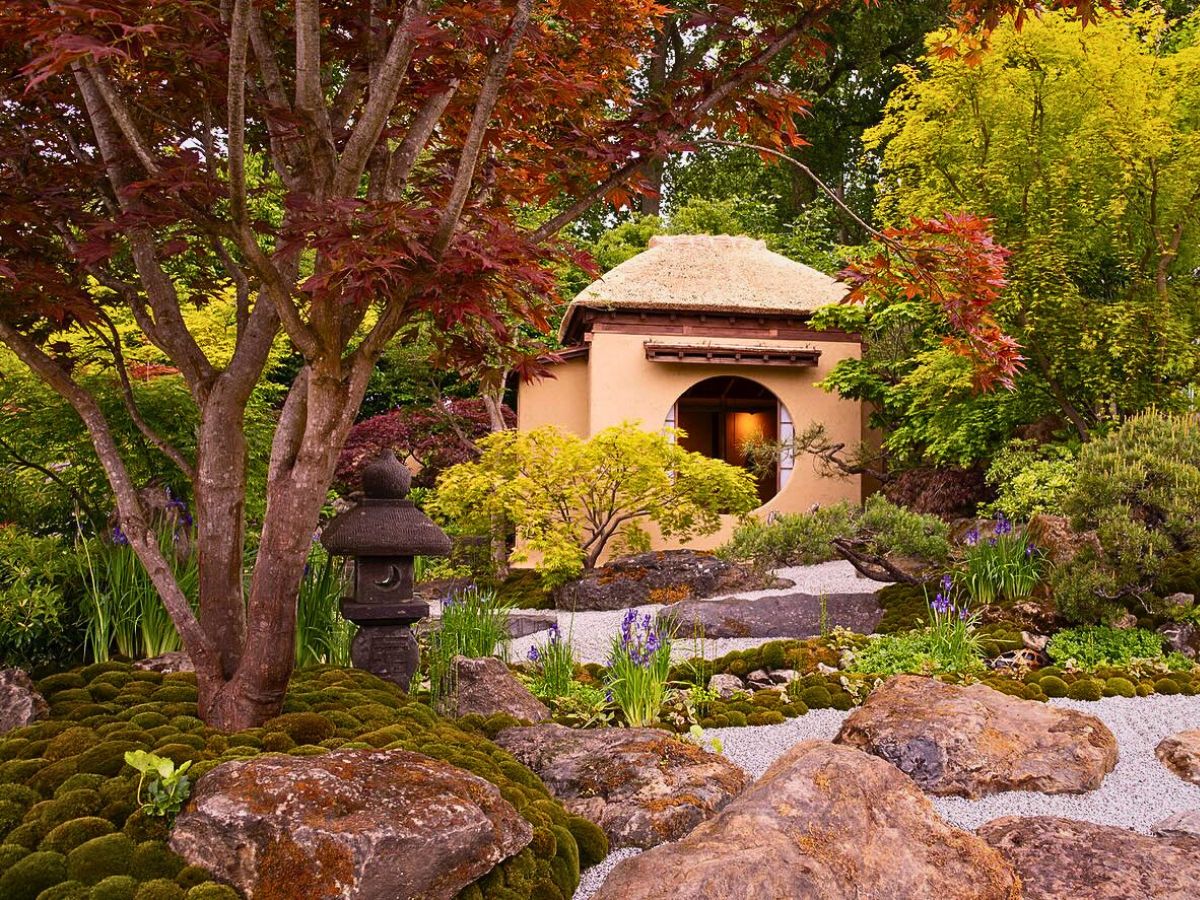 Tea garden Embracing Imperfection in the Art of Wabi-Sabi Through Plants and Flowers