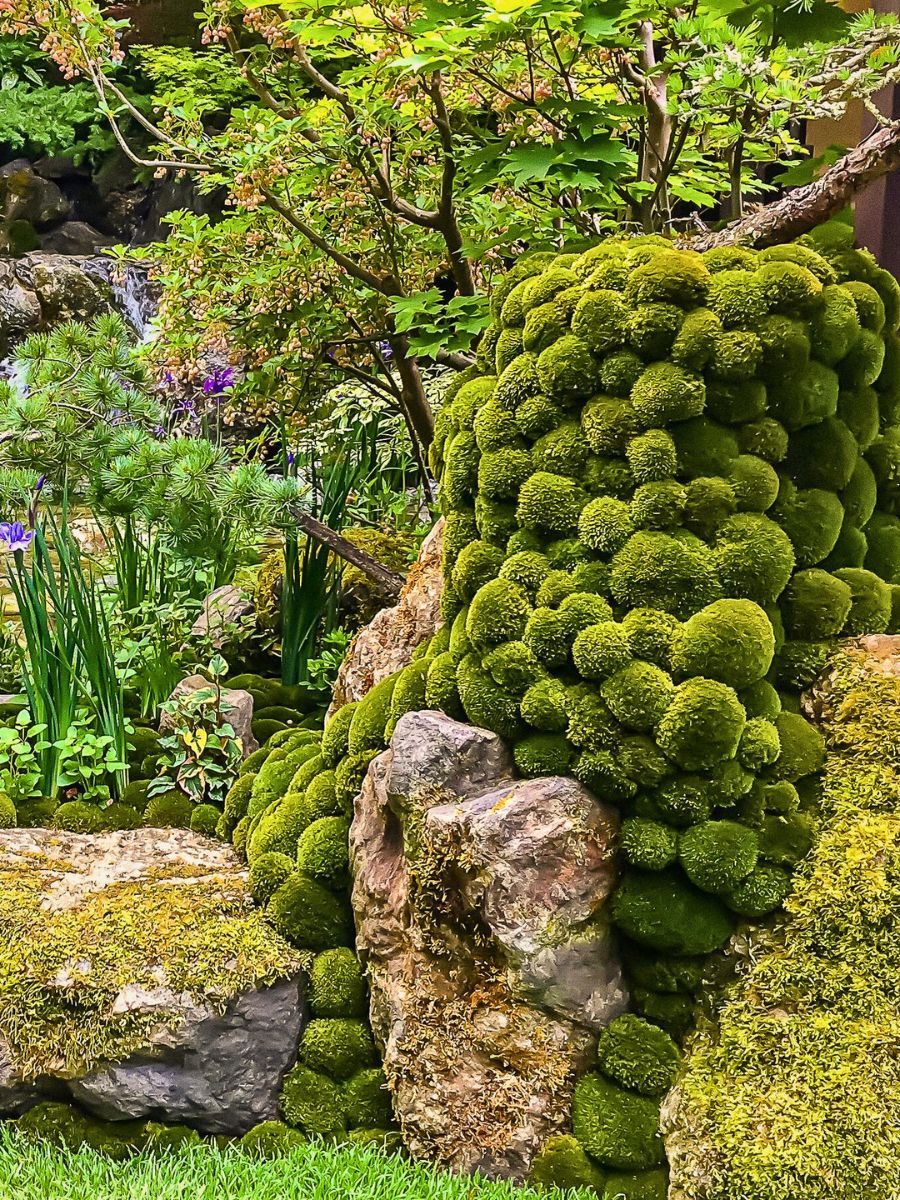 Moss-covered stones Embracing Imperfection in the Art of Wabi-Sabi Through Plants and Flowers