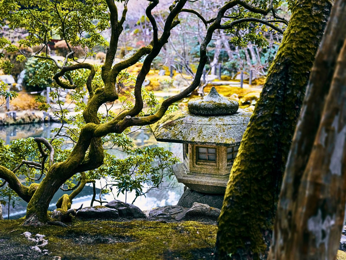 Japanese garden Embracing Imperfection in the Art of Wabi-Sabi Through Plants and Flowers