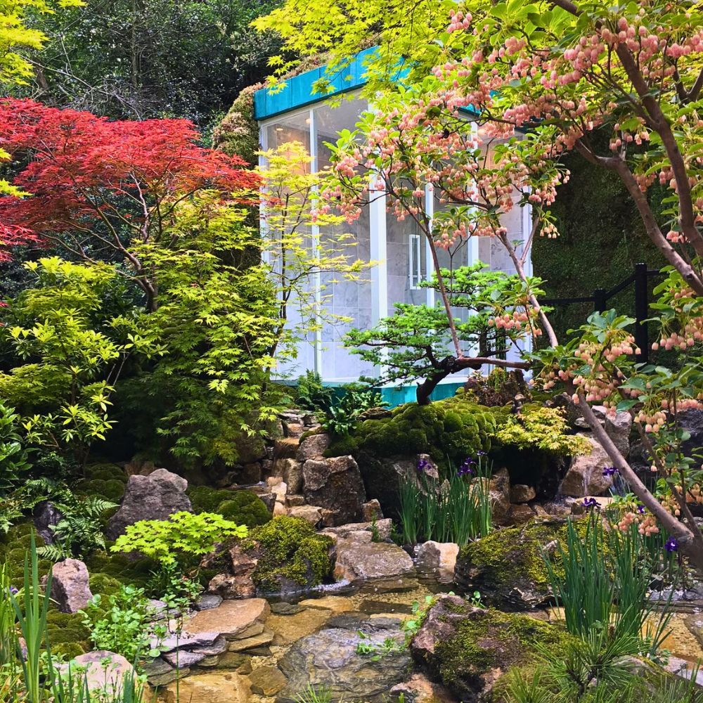 Flowers and plants Embracing Imperfection in the Art of Wabi-Sabi Through Plants and Flowers
