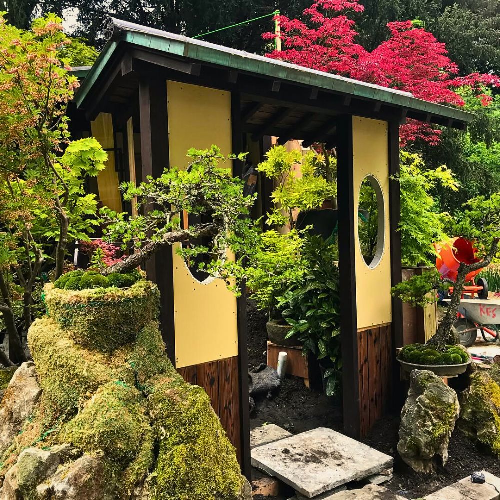 Garden Embracing Imperfection in the Art of Wabi-Sabi Through Plants and Flowers