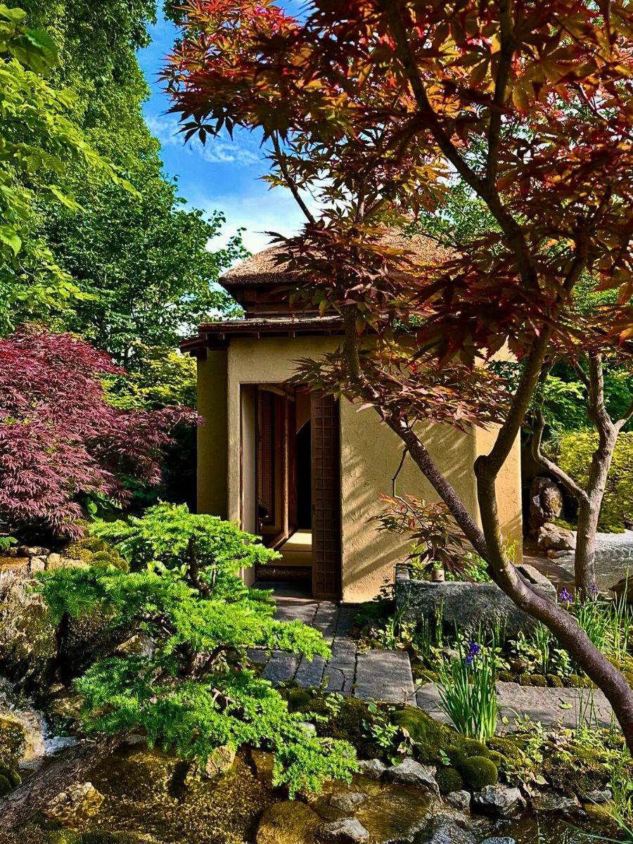 Plants and flowers in a garden Wabi-Sabi Aesthetics Is All About Finding Beauty and Perfection in Imperfection.