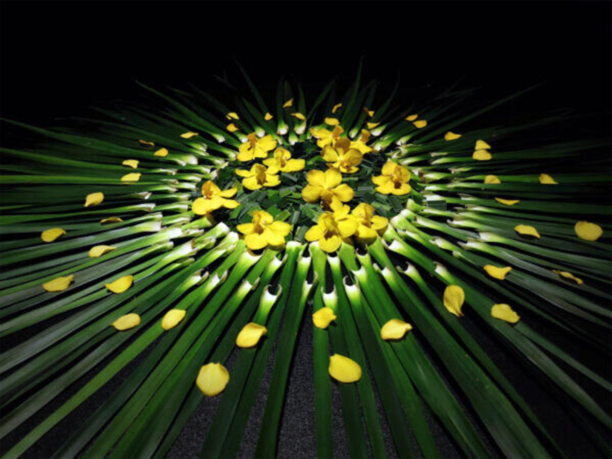 Yucca leaf design by Kathy Ong Yucca leaf design by Kathy Ong