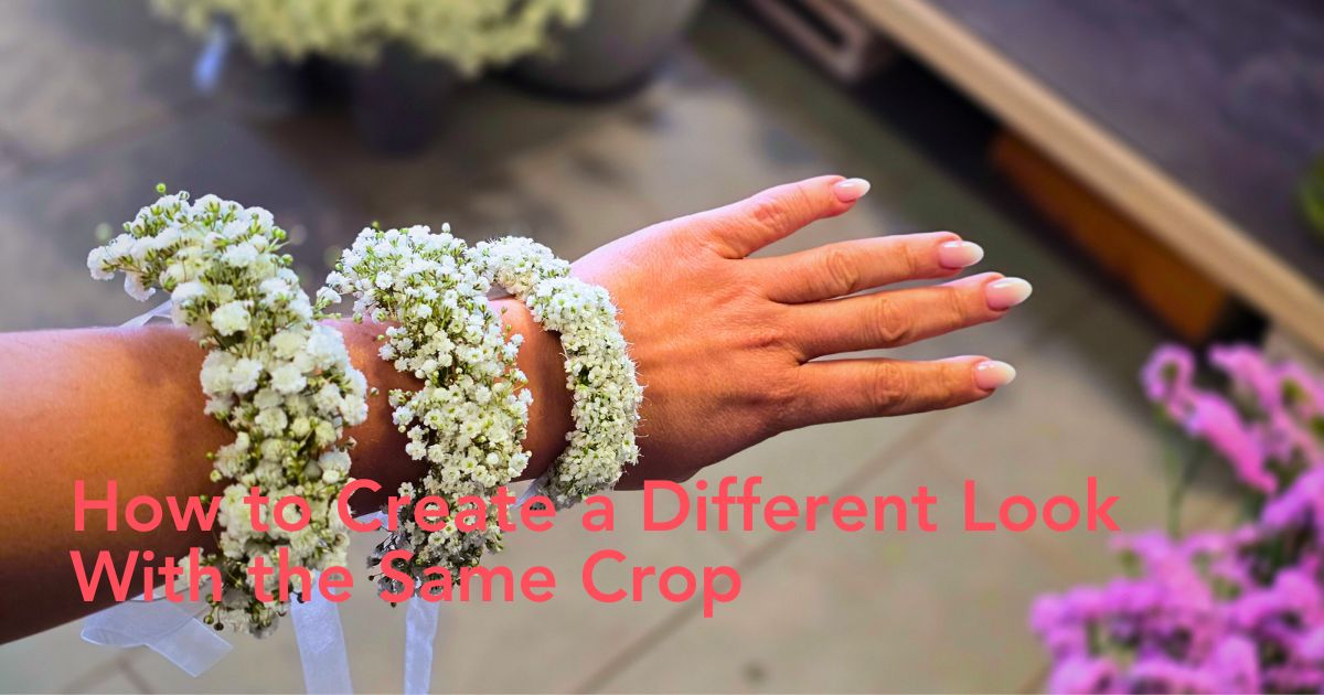XLence Million Daisy and Million Stars bracelets