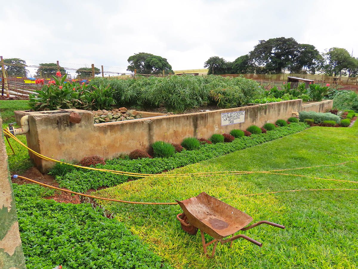Marginpar Juja wetland system overview Marginpar Juja wetland system overview