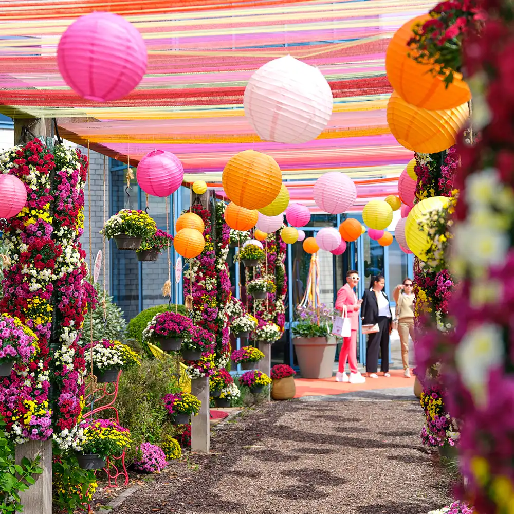 FlowerTrials at Royal Van Zanten