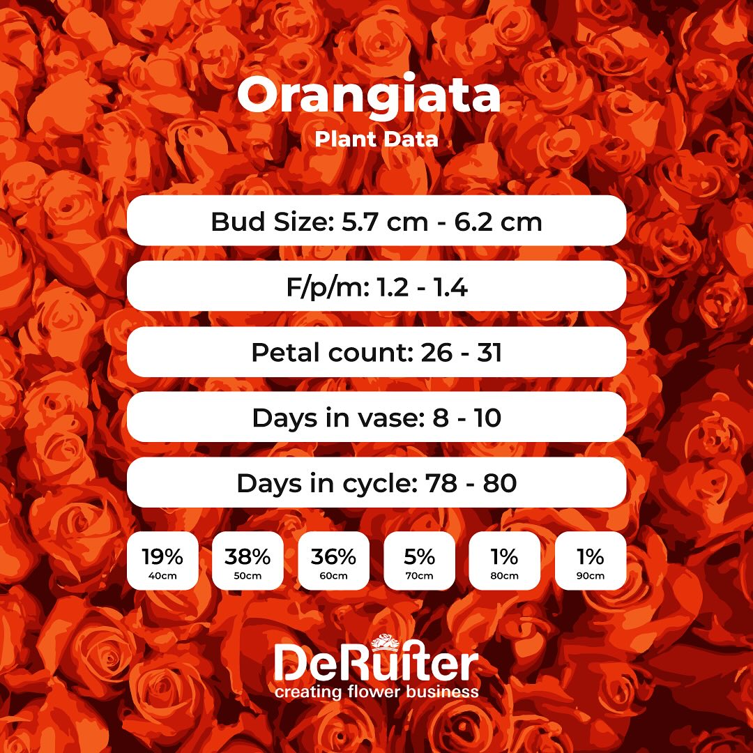 Orangiata Plant Data 
