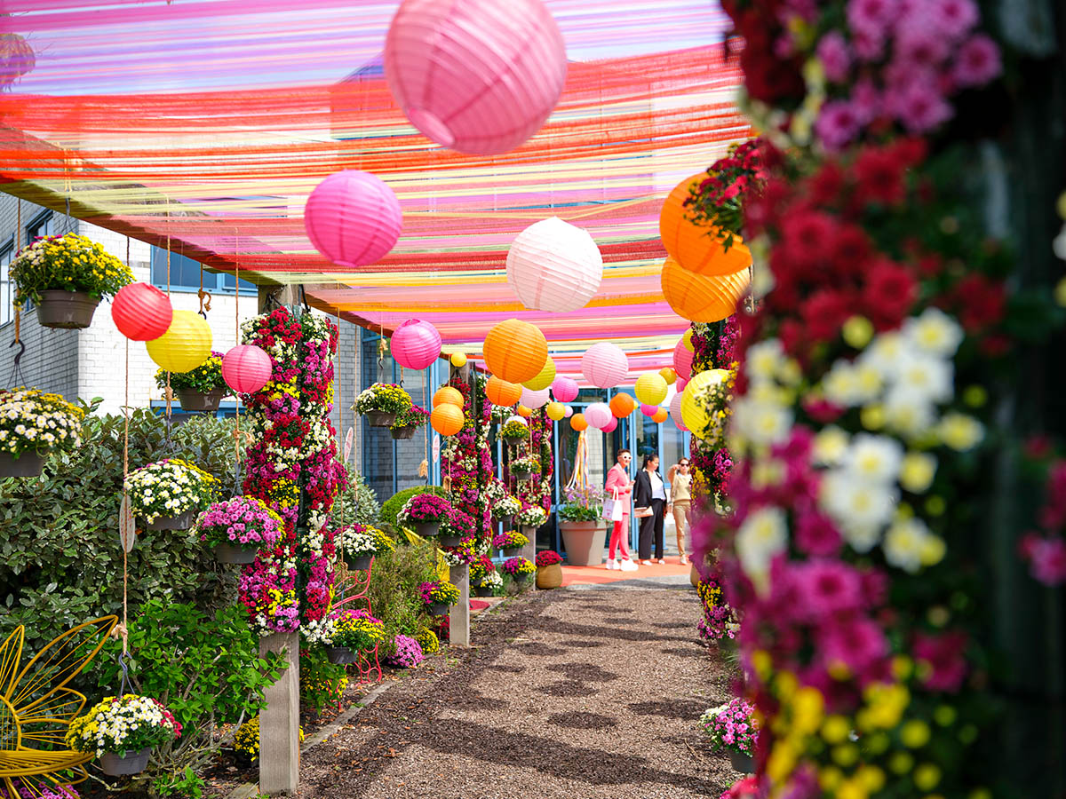 Royal Van Zanten FlowerTrials 2025 corridor Royal Van Zanten FlowerTrials 2025 corridor