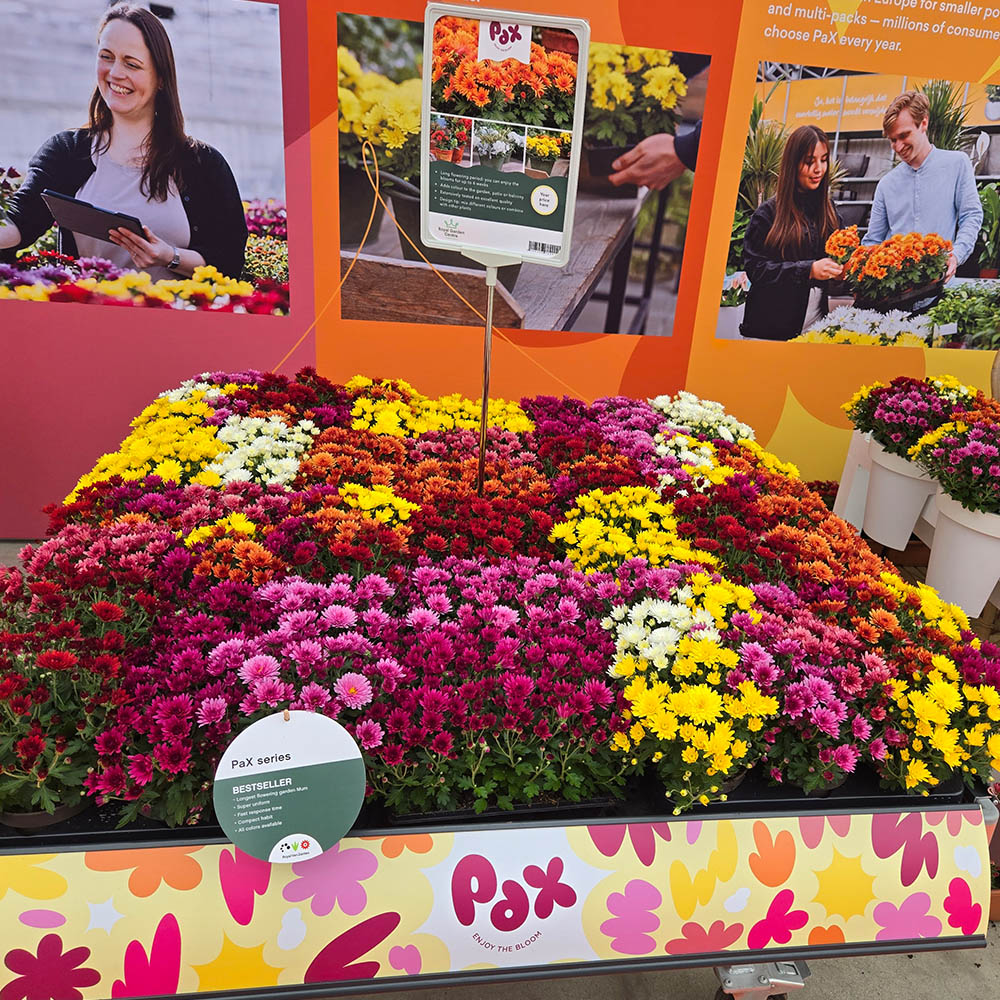 Royal Van Zanten FlowerTrials 2025 PaX rebranded Royal Van Zanten FlowerTrials 2025 PaX rebranded