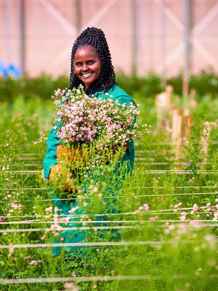 Flower farm staff The Flower Hub Has Achieved a Certified B Corporation Status