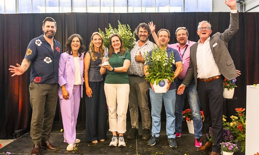 FleuroStar Award 2025 Winner Is Digitalis Hanabee
