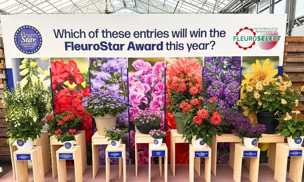 Fleurostar award 2025 entries