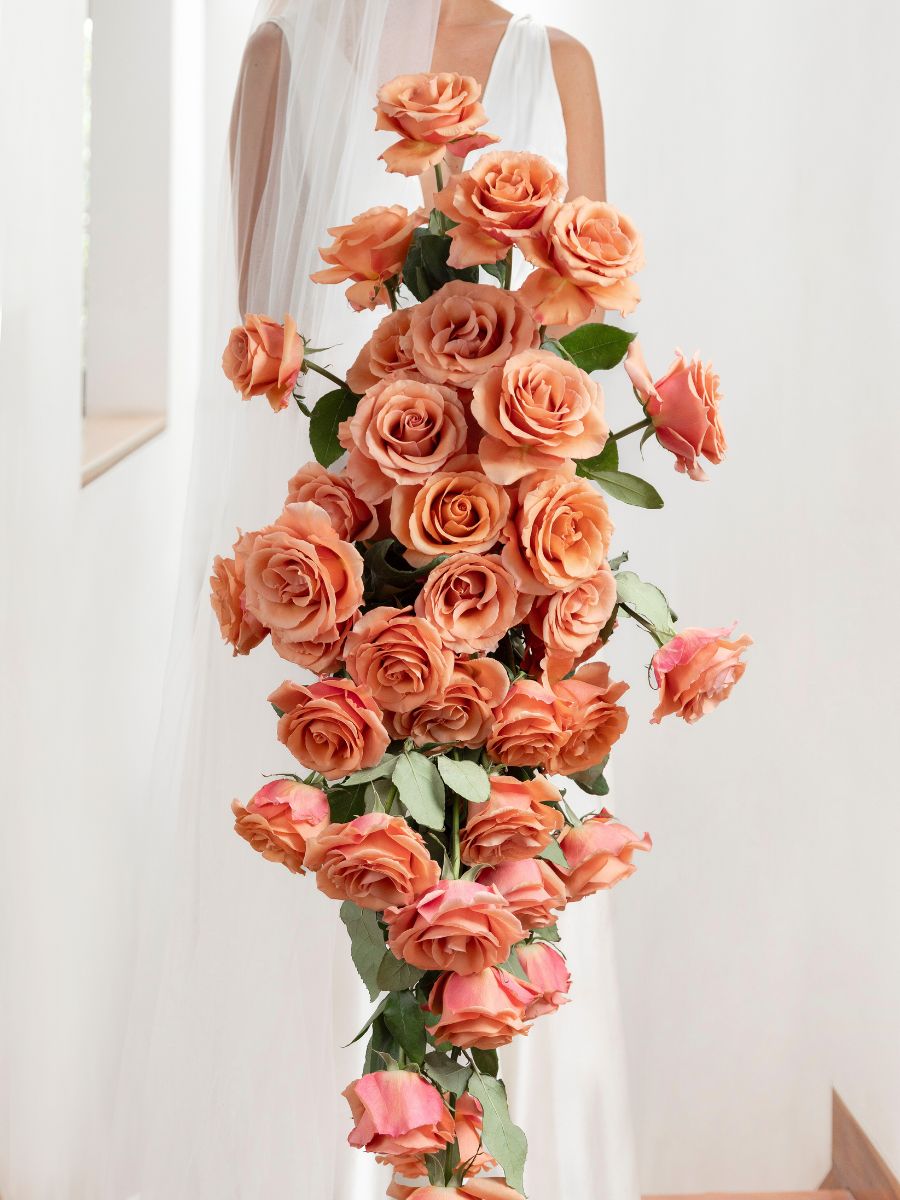 A cascading arrangement with Rose RP Moab A cascading arrangement with Rose RP Moab