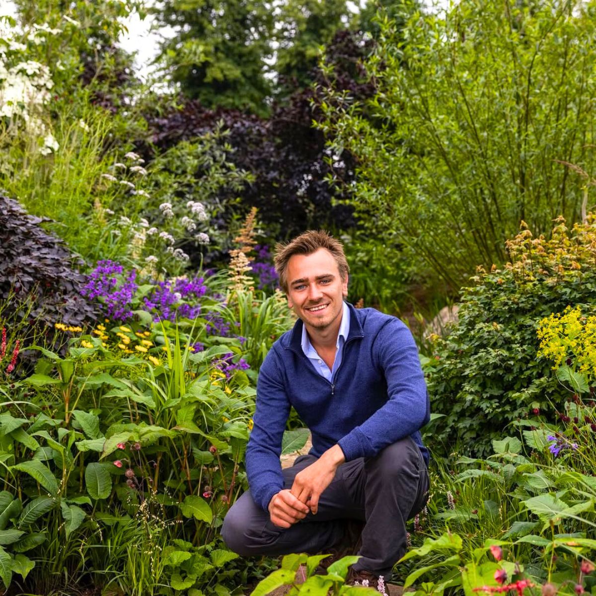 Plants and gardens at the RHS Court Palace Plants and gardens at the RHS Court Palace