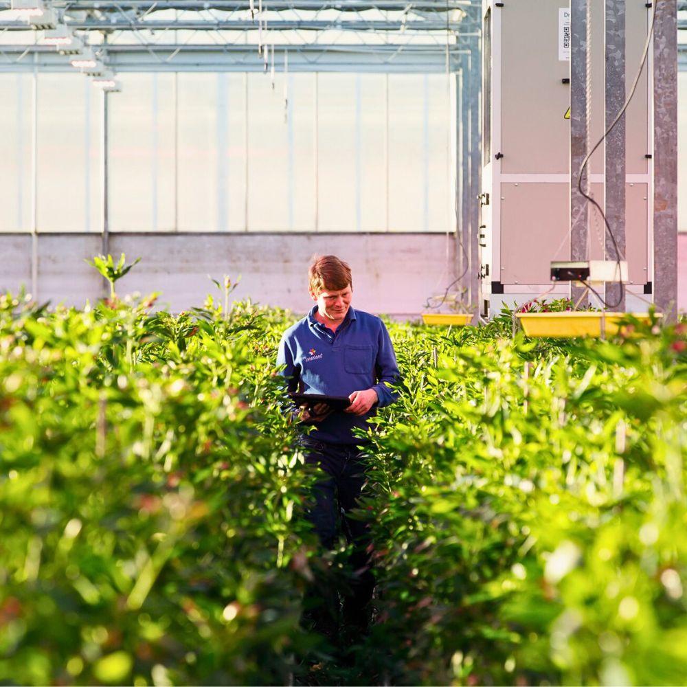 Sustainable Initiatives in Floriculture