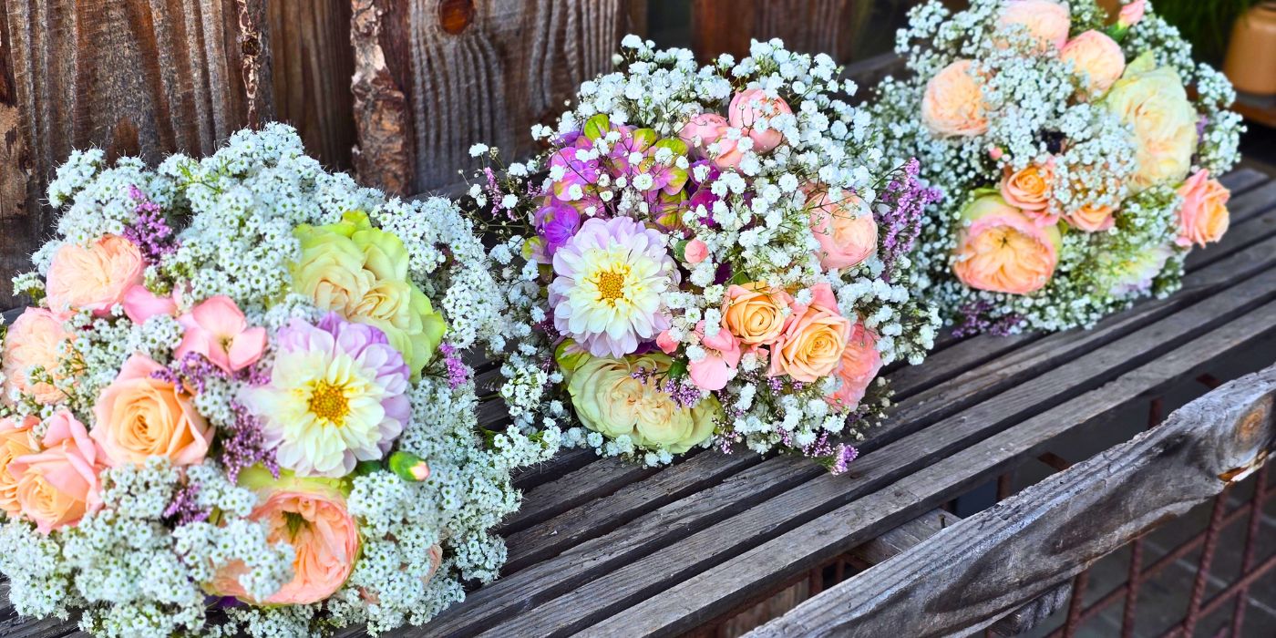 XLence® , Million Stars(R) & Million Daisy(TM) Nicole Haffner, Blumenwerk XLence® , Million Stars(R) & Million Daisy(TM) Nicole Haffner, Blumenwerk