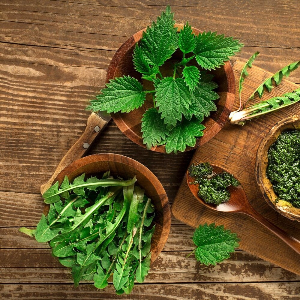 Nettle leaf for better hair health Nettle leaf for better hair health
