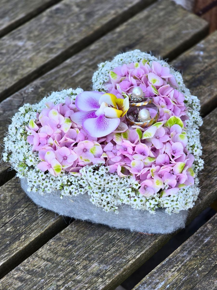 Million Daisy™ Nicole Haffner , Blumenwerk Million Daisy™ Nicole Haffner , Blumenwerk