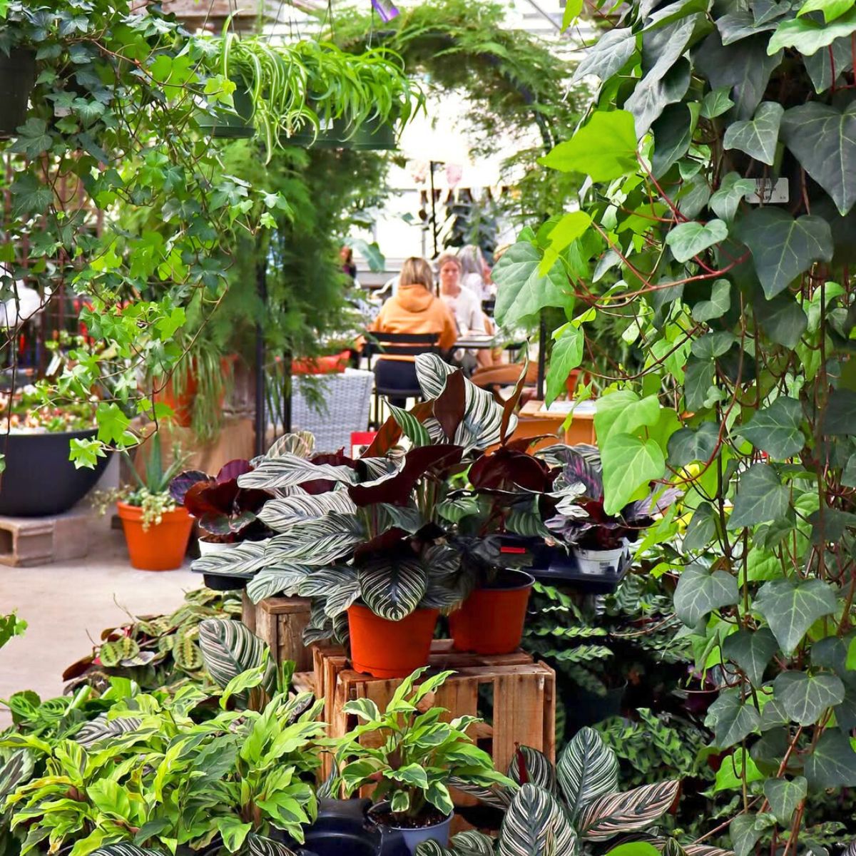 Working surrounded by plants Working surrounded by plants