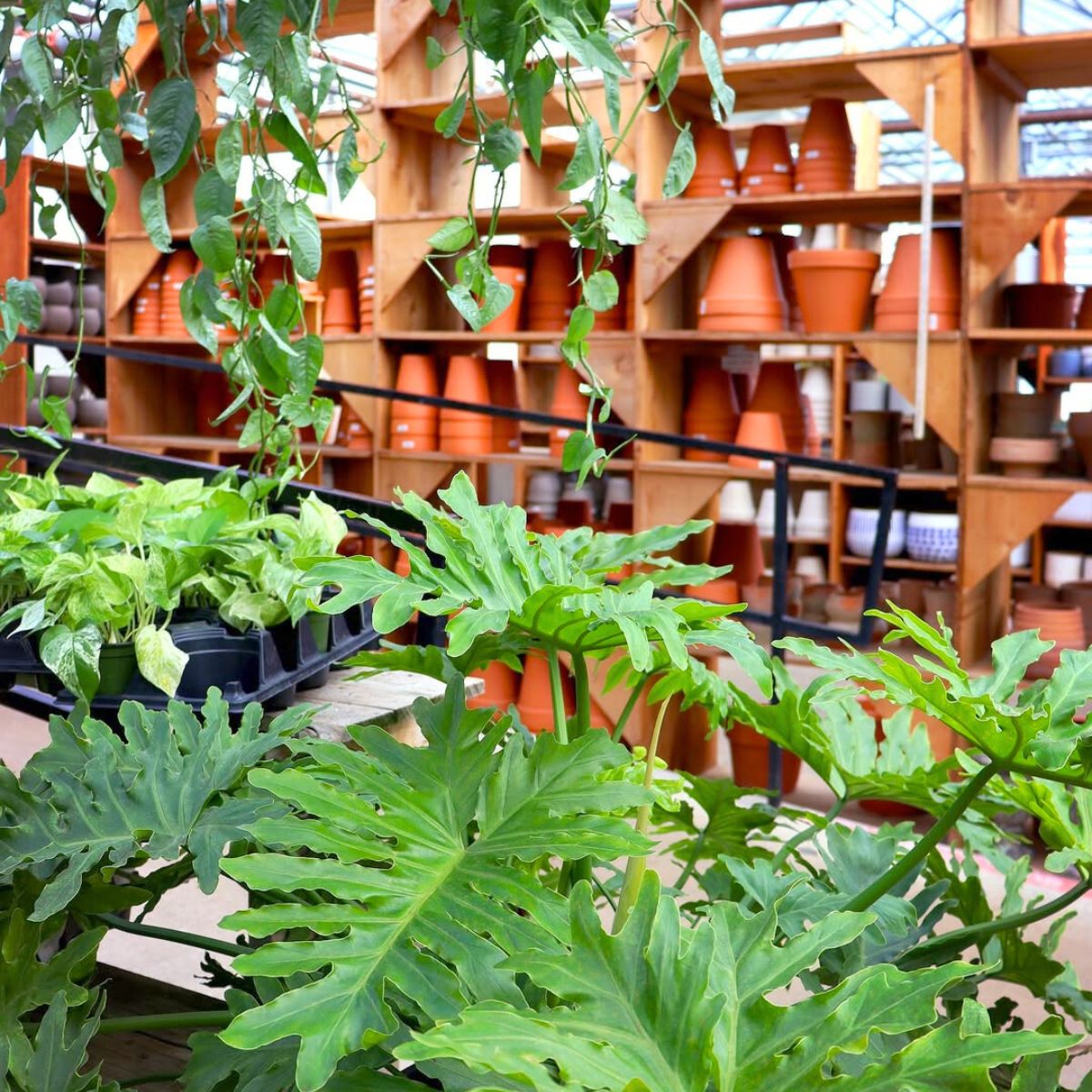 Green spaces with pots