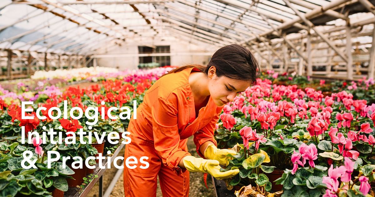 Sustainable Initiatives in Floriculture