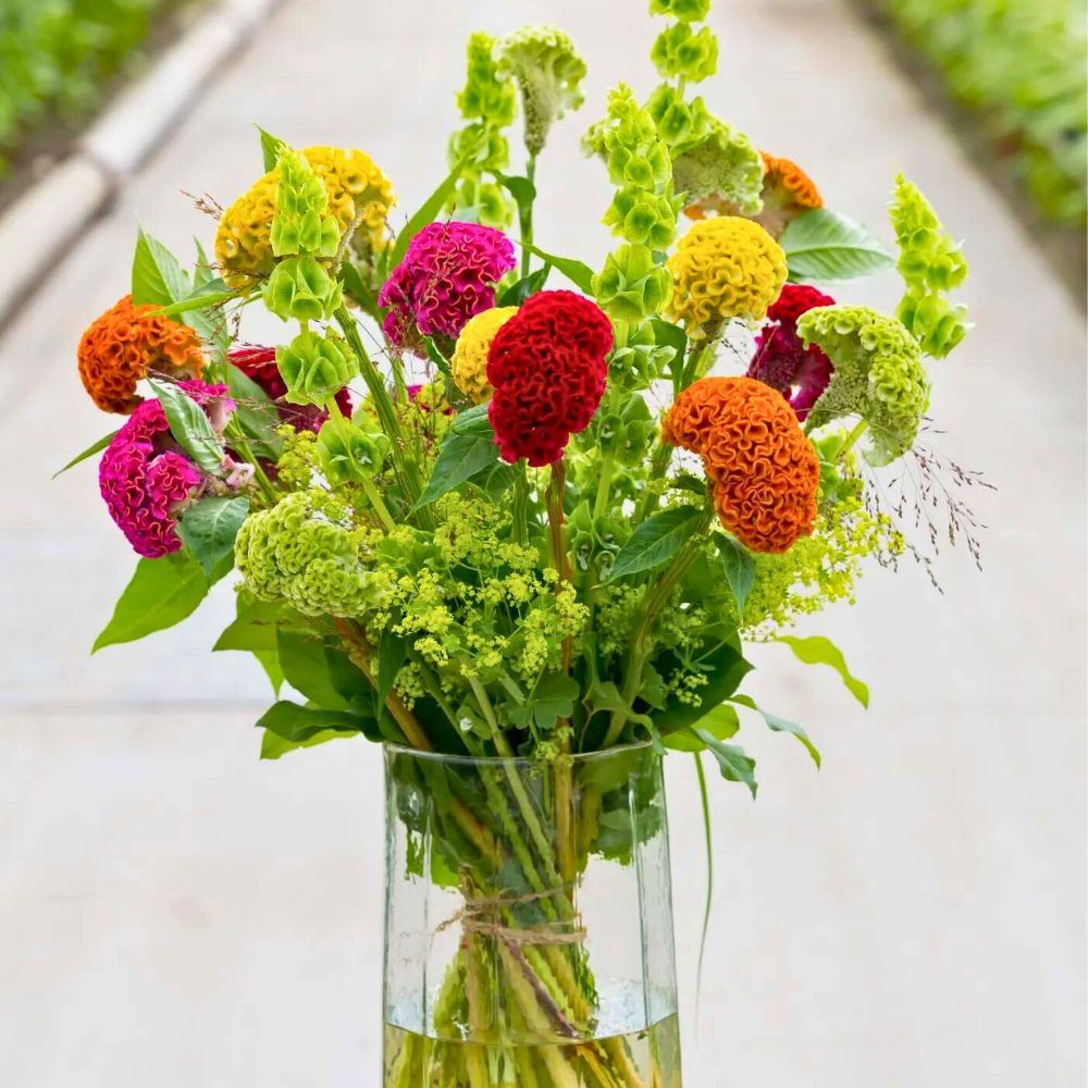 Celosia flowers in a mixed summer bouquet Celosia flowers in a mixed summer bouquet