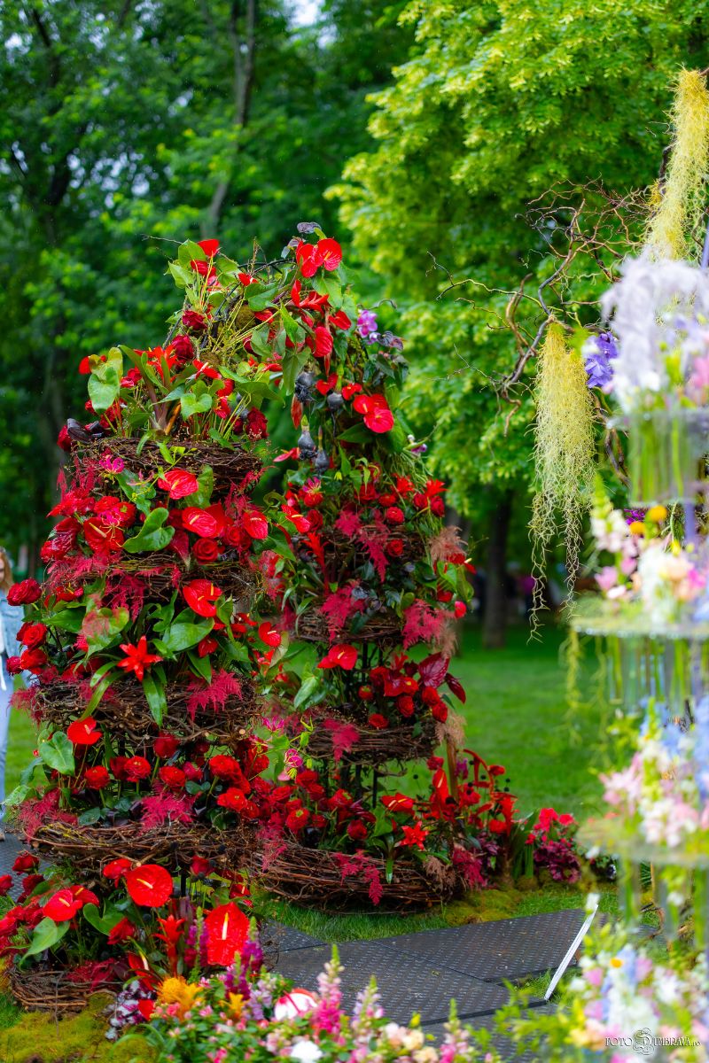 Ana Grigoras Dante Divine Comedy Floral Art - Arch of Hell