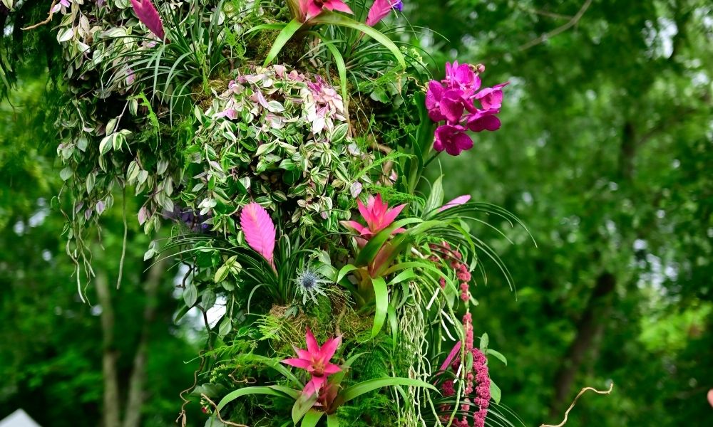 Ana Grigoras Dante Divine Comedy Floral Art - Arch of Purgatorium
