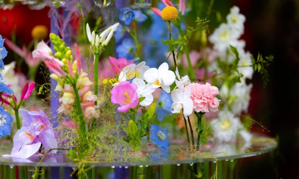 Ana Grigoras Dante Divine Comedy Floral Art - Arch of Paradise Close