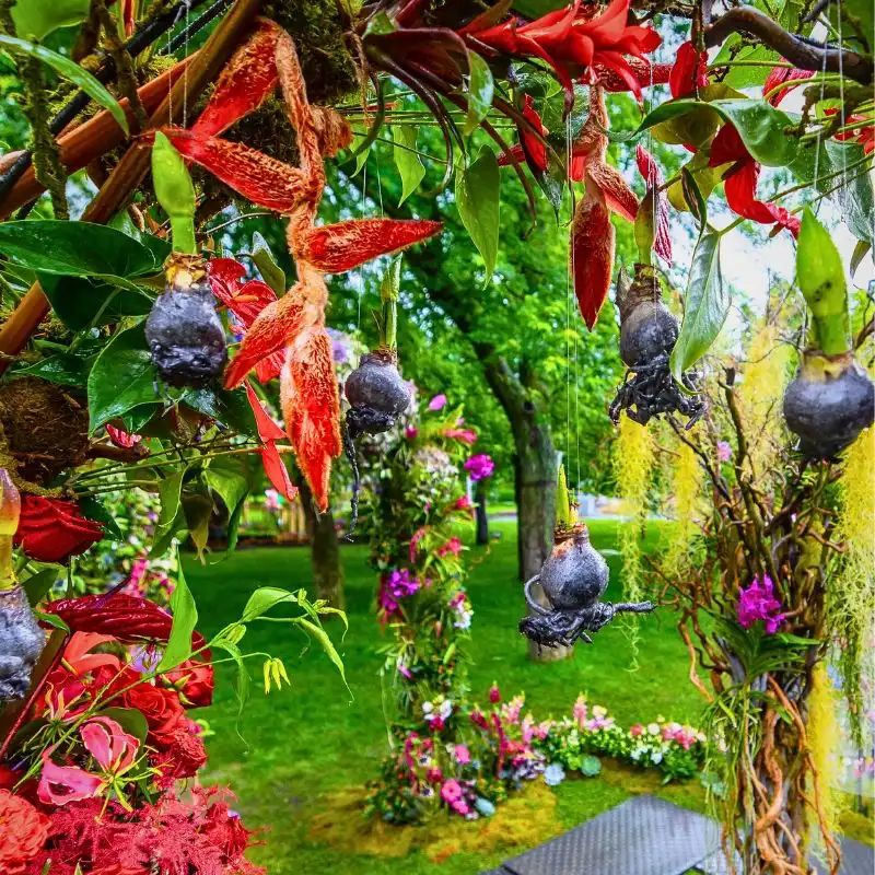 Ana Grigoras Dante Divine Comedy Floral Art