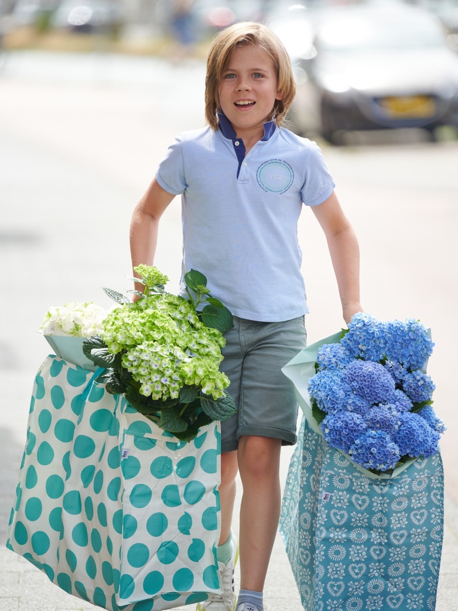 Little boy carry a flower gifts bag Little boy carry a flower gifts bag