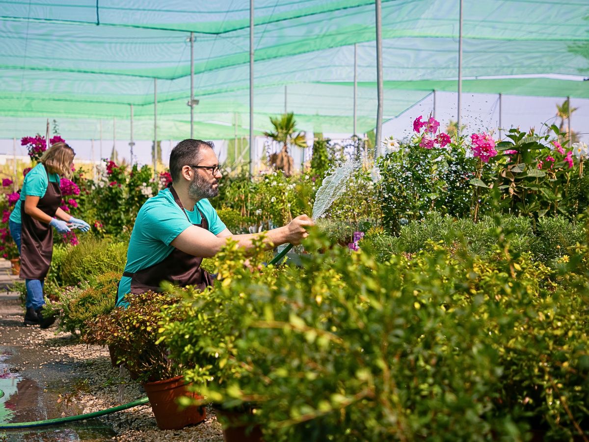 Intercropping Crop Rotation and Intercropping Present a Unique Approach to Sustainable Floriculture