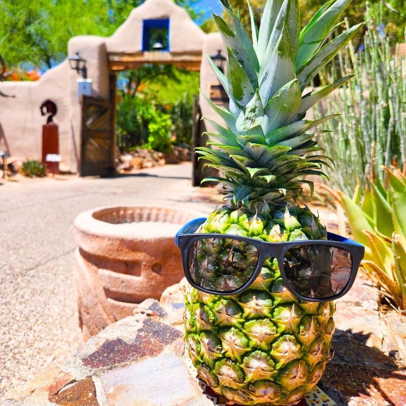 International Pineapple Day Is a Celebration of Pineapples Colorful History