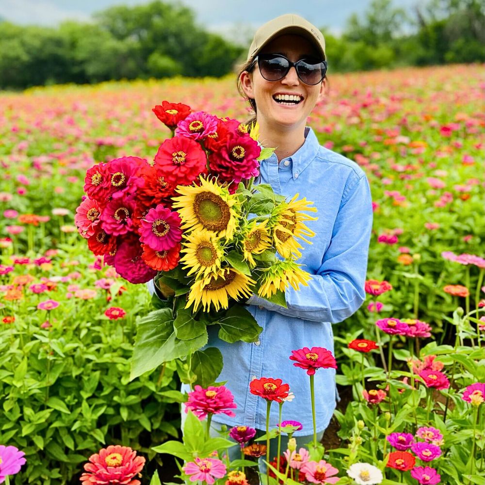 Flower cultivation Crop Rotation and Intercropping Present a Unique Approach to Sustainable Floriculture