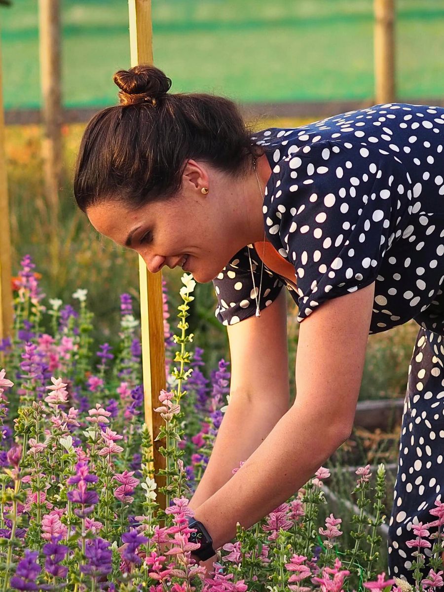 Flower cultivation Crop Rotation and Intercropping Present a Unique Approach to Sustainable Floriculture