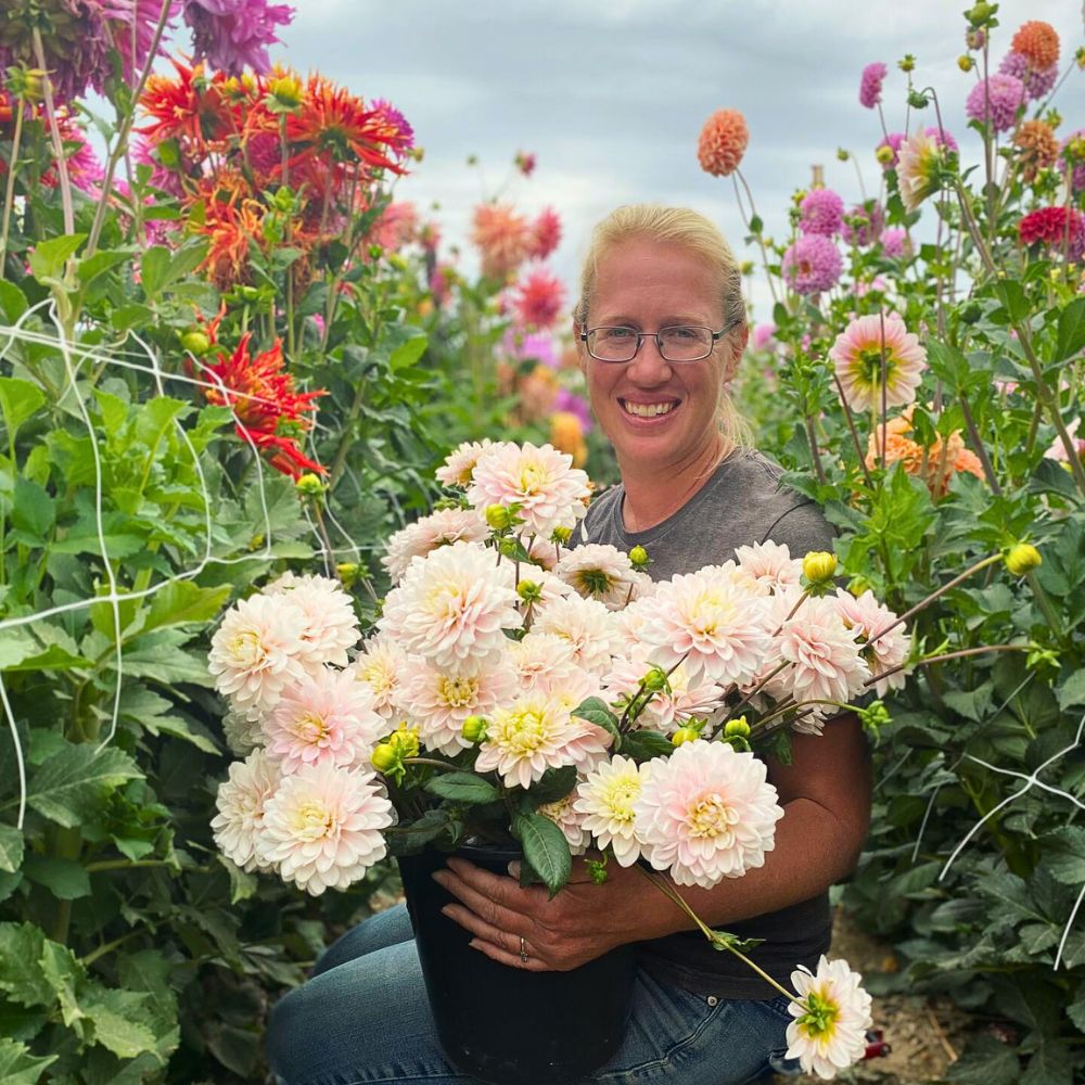 Flower cultivation Crop Rotation and Intercropping Present a Unique Approach to Sustainable Floriculture