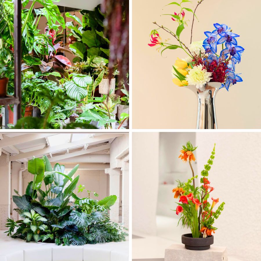 More planty and floral arrangements