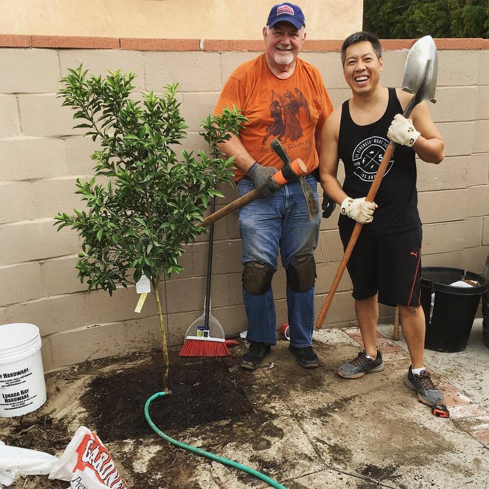Two men planting and watering Kumquat Tree